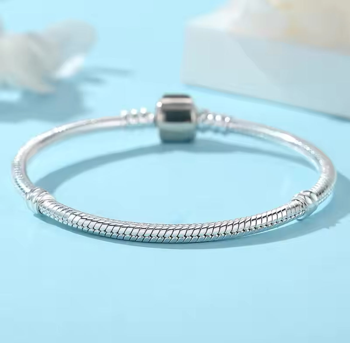 Bracelets en acier inoxydable • Femme