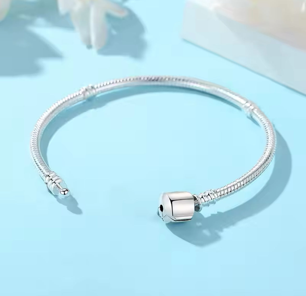 Bracelets en acier inoxydable • Femme